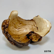 Maple Burl #2378