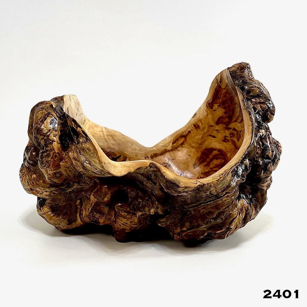 Maple Burl #2401