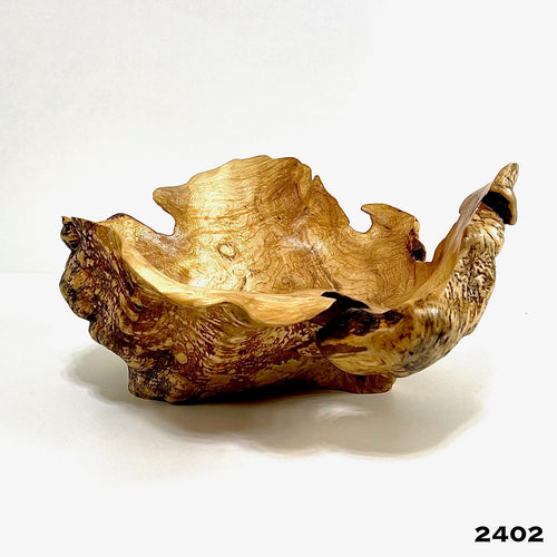 Maple Burl #2402