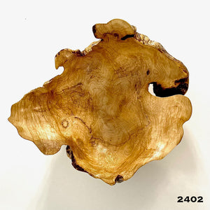 Maple Burl #2402