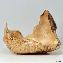 Birch Burl #2437