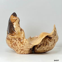 Birch Burl #2437