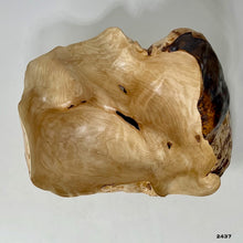 Birch Burl #2437