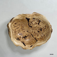 Maple Burl #2442