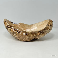 Maple Burl #2443