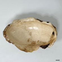 Maple Burl #2443