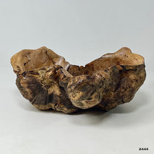Maple Burl #2444