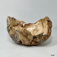 Maple Burl #2446