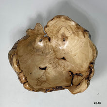 Maple Burl #2446
