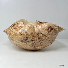 Birch Burl #2448