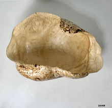 Birch Burl #2448