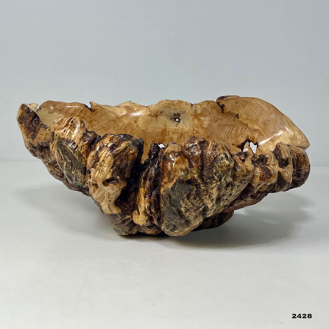 Maple Burl #2428