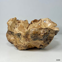 Maple Burl #2430