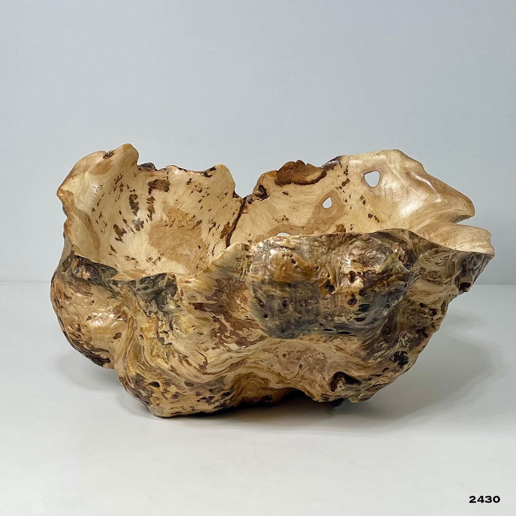Maple Burl #2430