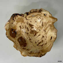 Maple Burl #2430