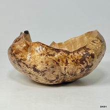 Maple Burl #2431