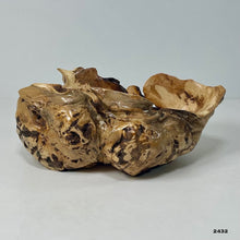 Maple Burl #2432