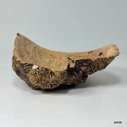 Maple Burl #2434