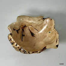 Wooden burl bowl with natural grain and dark spots on a gray background